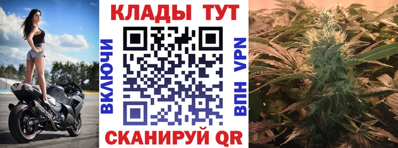 Где найти наркотики Николаевск ГАШИШ  Каннабис  КОКАИН  Alpha PVP  Меф 