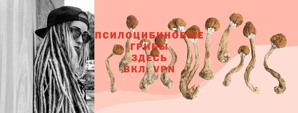 не бодяженный Аркадак