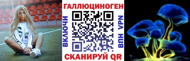 закладка  Николаевск  Галлюциногенные грибы мицелий 